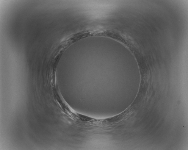 X0000067461445200604101121