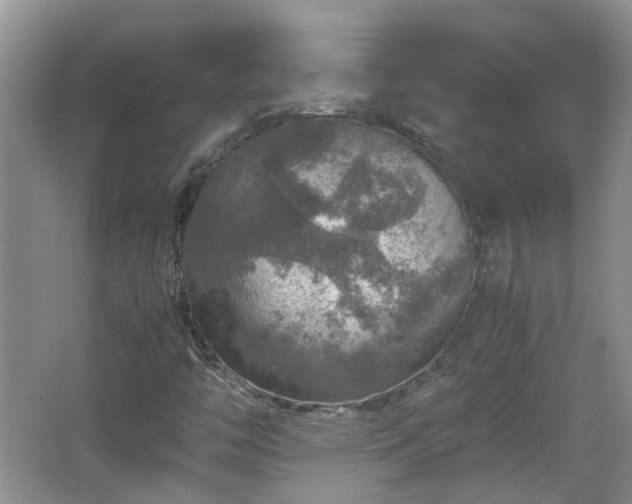 X0000067461446200604101120