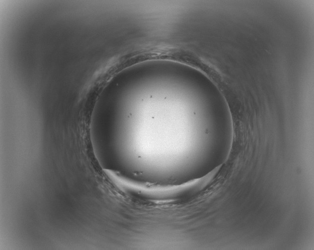 X0000067461447200604101120