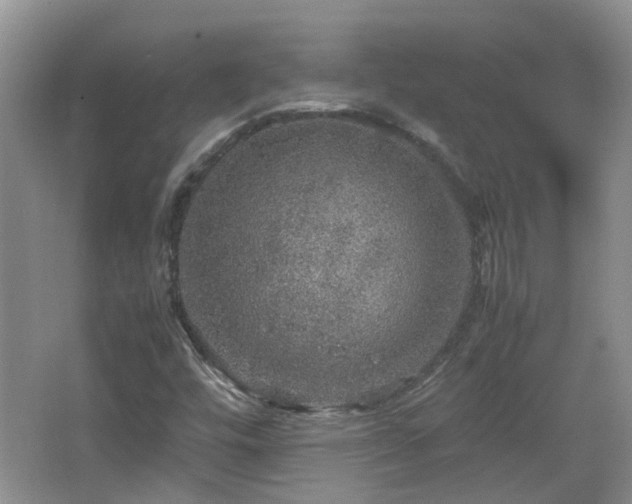 X0000067461448200604101120