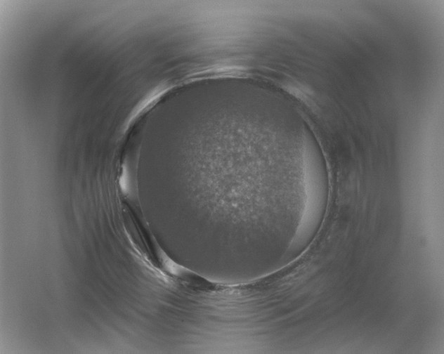 X0000067461450200604101120