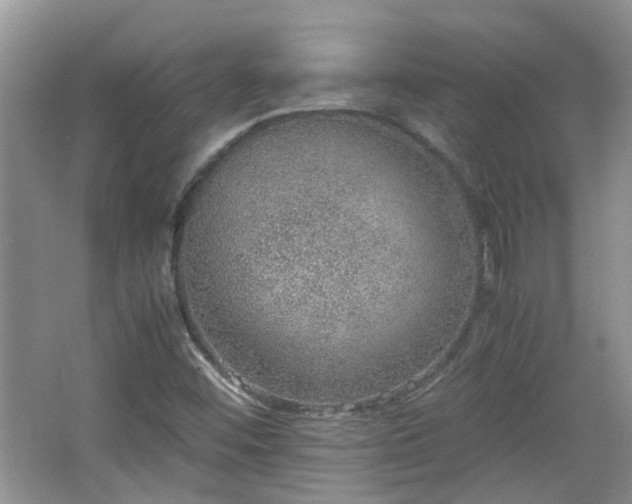 X0000067461452200604101120