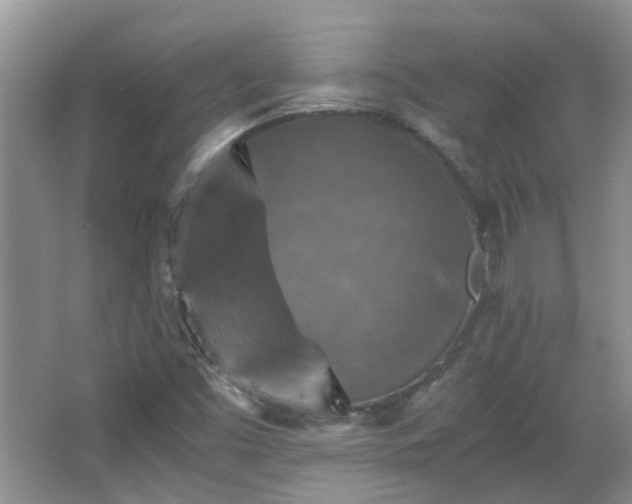 X0000067461453200604101120