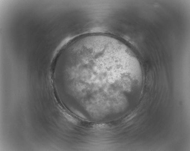 X0000067461454200604101120