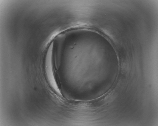 X0000067461455200604101120