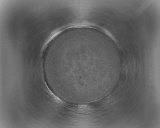 X0000067461456200604101120