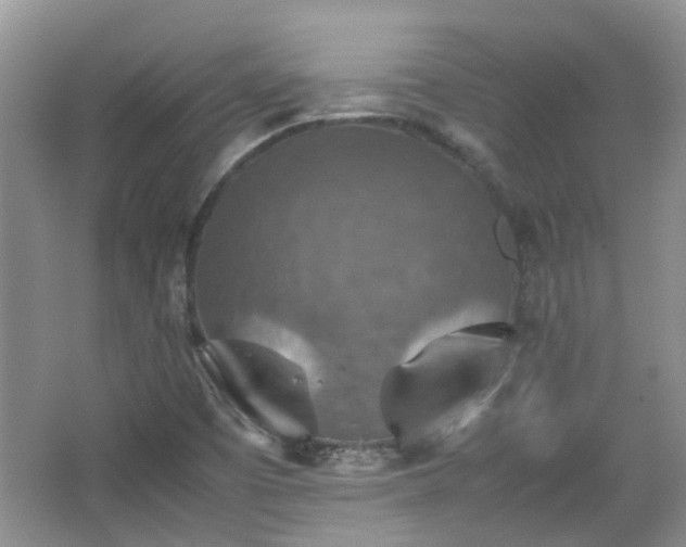 X0000067461457200604101120