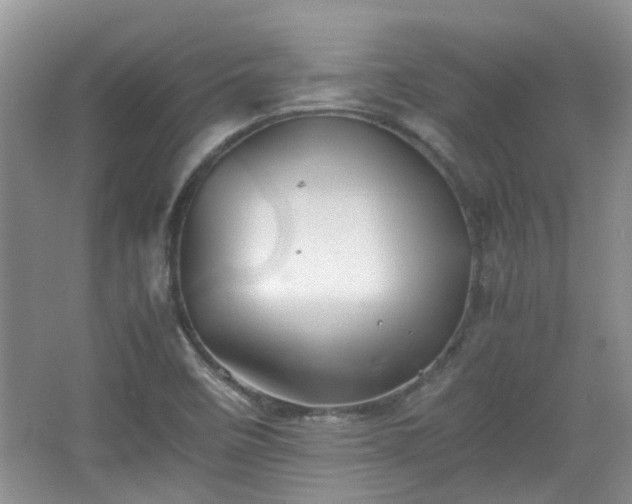 X0000067461458200604101120