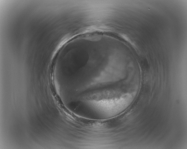 X0000067461459200604101120