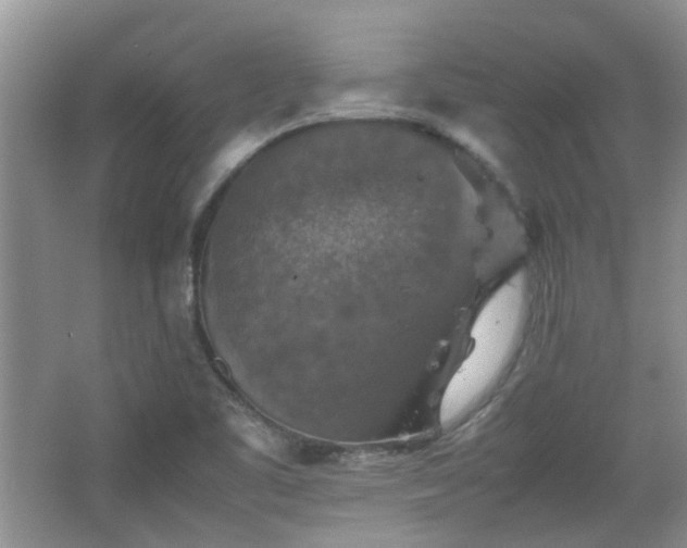 X0000067461461200604101120