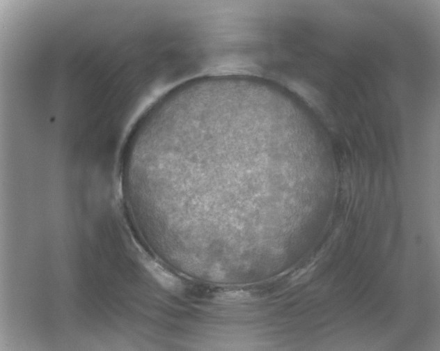 X0000067461462200604101120