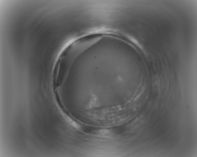 X0000067461463200604101120