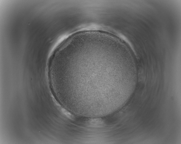 X0000067461464200604101120