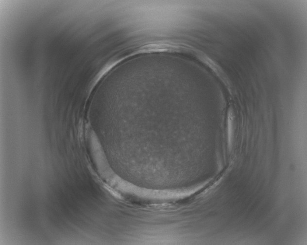 X0000067461465200604101120