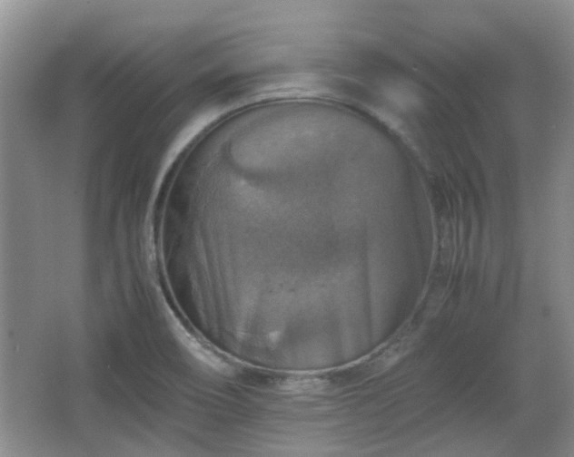 X0000067461466200604101120