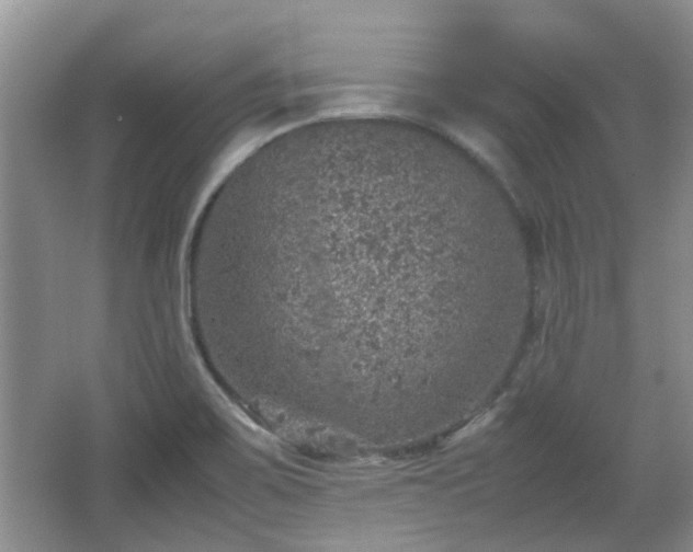 X0000067461467200604101120