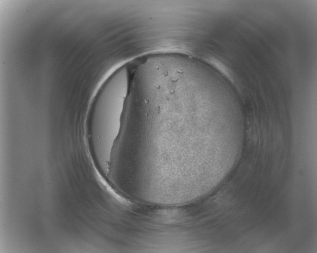 X0000067461468200604101120