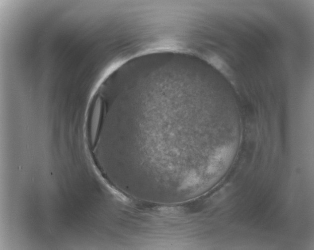 X0000067461469200604101120