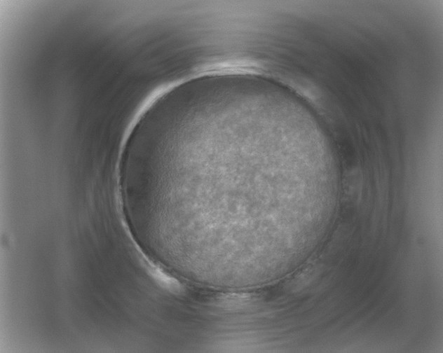 X0000067461470200604101120