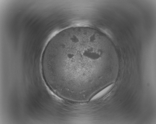 X0000067461471200604101120