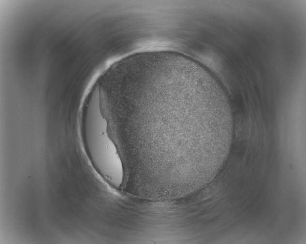 X0000067461472200604101120