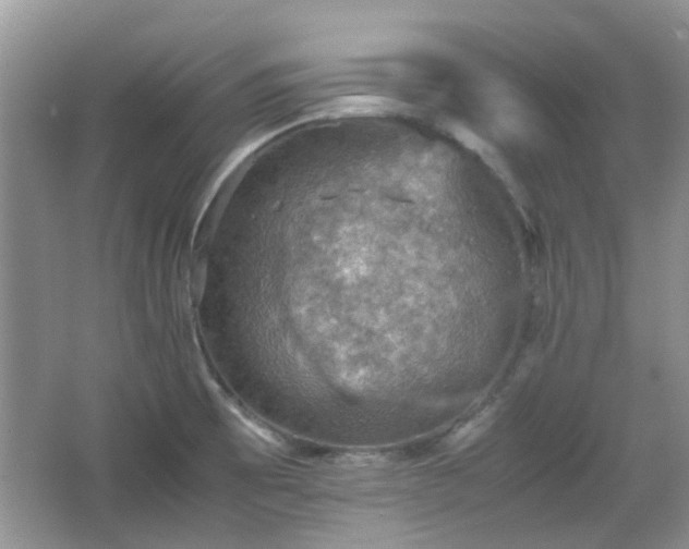 X0000067461473200604101120