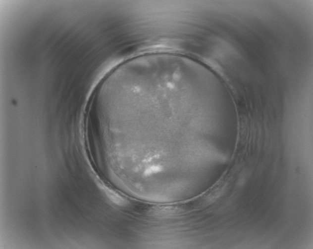 X0000067461474200604101120