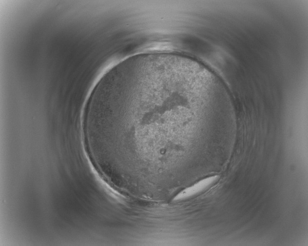 X0000067461475200604101120