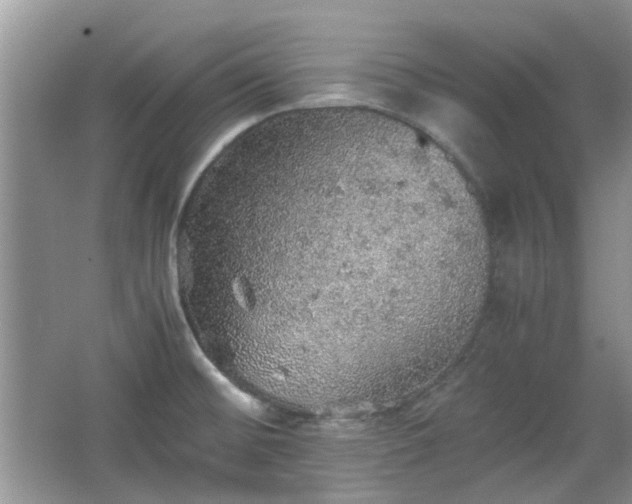 X0000067461476200604101120