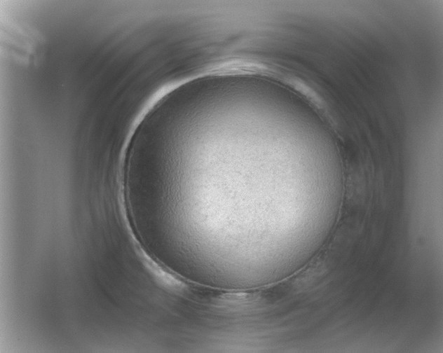 X0000067461478200604101120