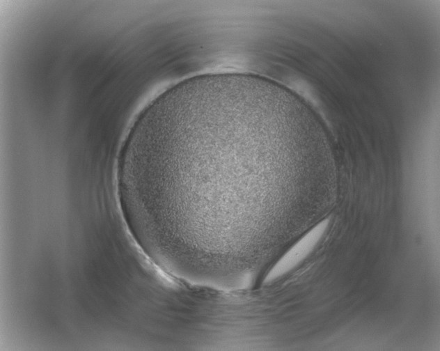 X0000067461480200604101120