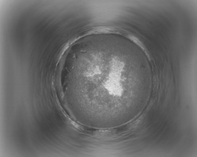 X0000067461481200604101120