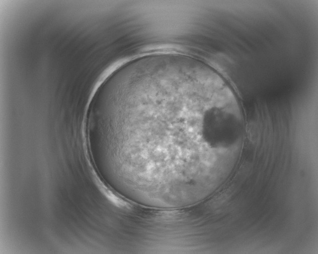 X0000067461482200604101120