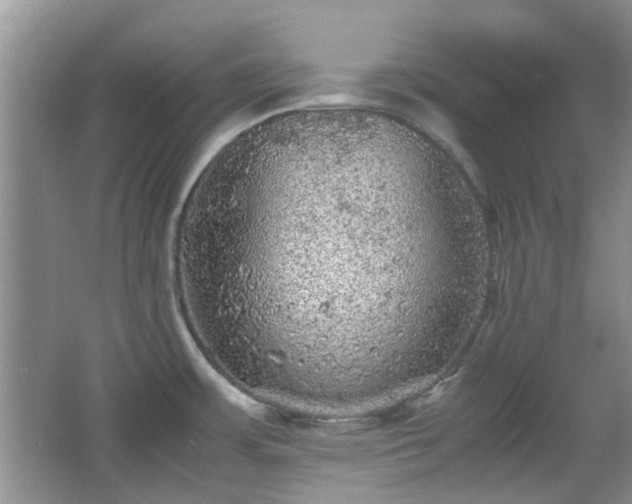 X0000067461483200604101120