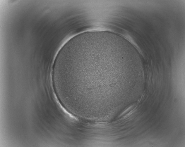 X0000067461484200604101120