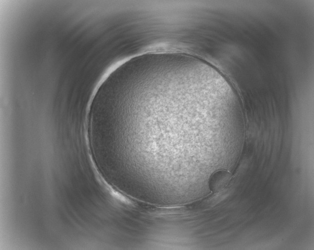 X0000067461486200604101120