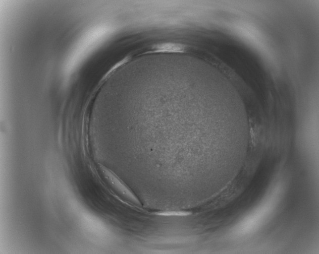 X0000067461487200604101120