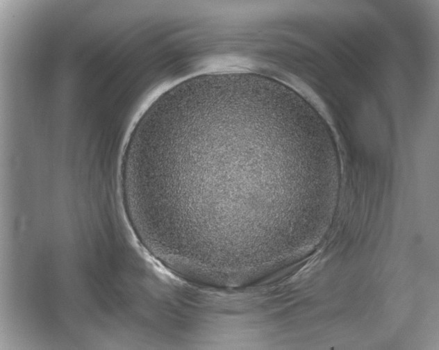 X0000067461488200604101120