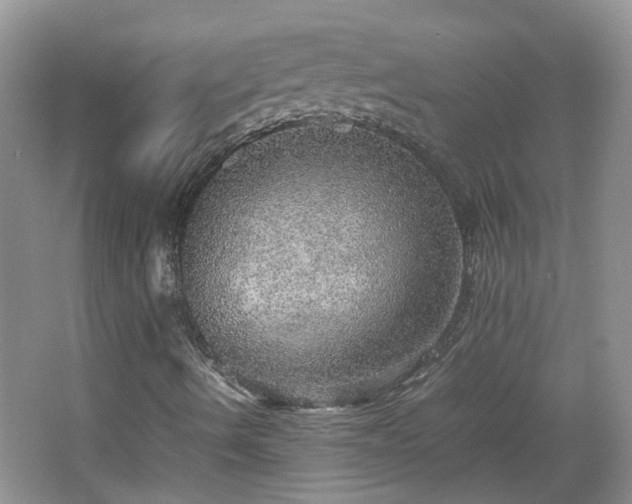 X0000067461490200604101119