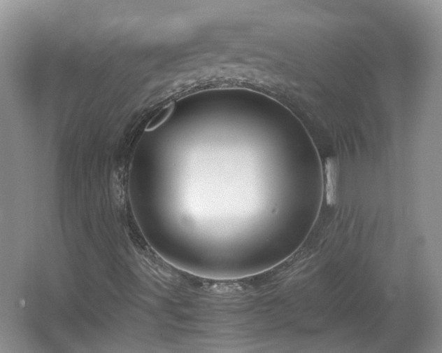 X0000067461491200604101119