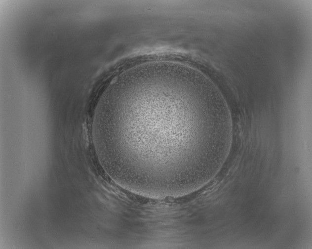 X0000067461493200604101119