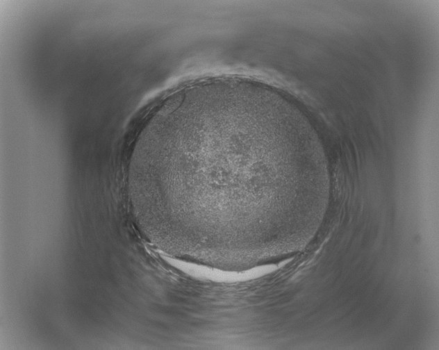 X0000067461494200604101119