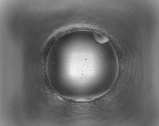 X0000067461495200604101119