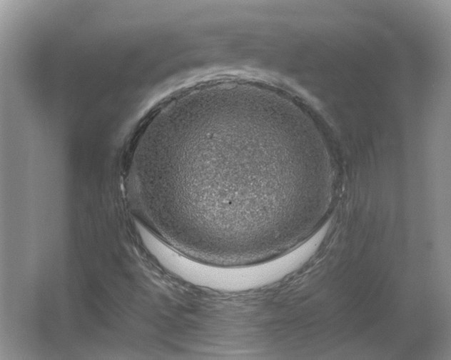 X0000067461496200604101119