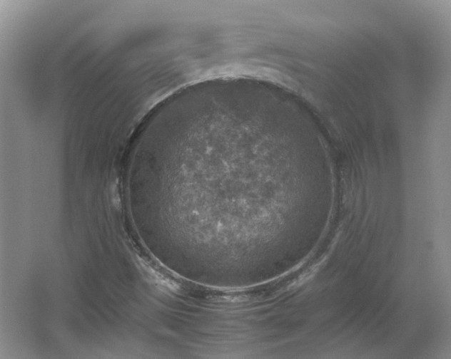 X0000067461497200604101119