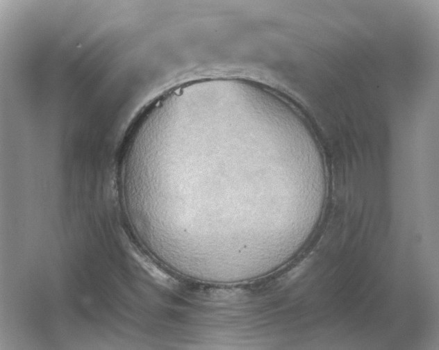 X0000067461498200604101119