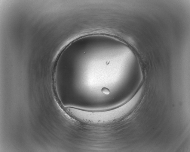 X0000067461500200604101119