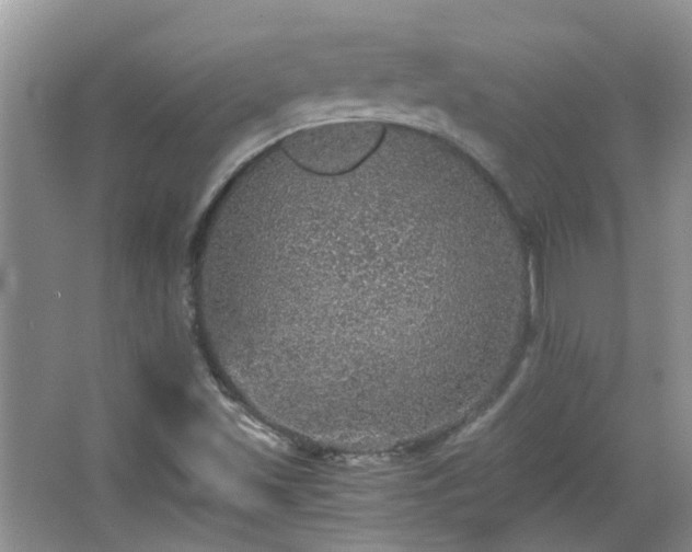 X0000067461501200604101119