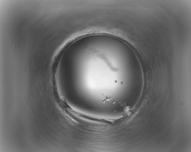 X0000067461502200604101119