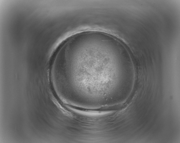 X0000067461503200604101119